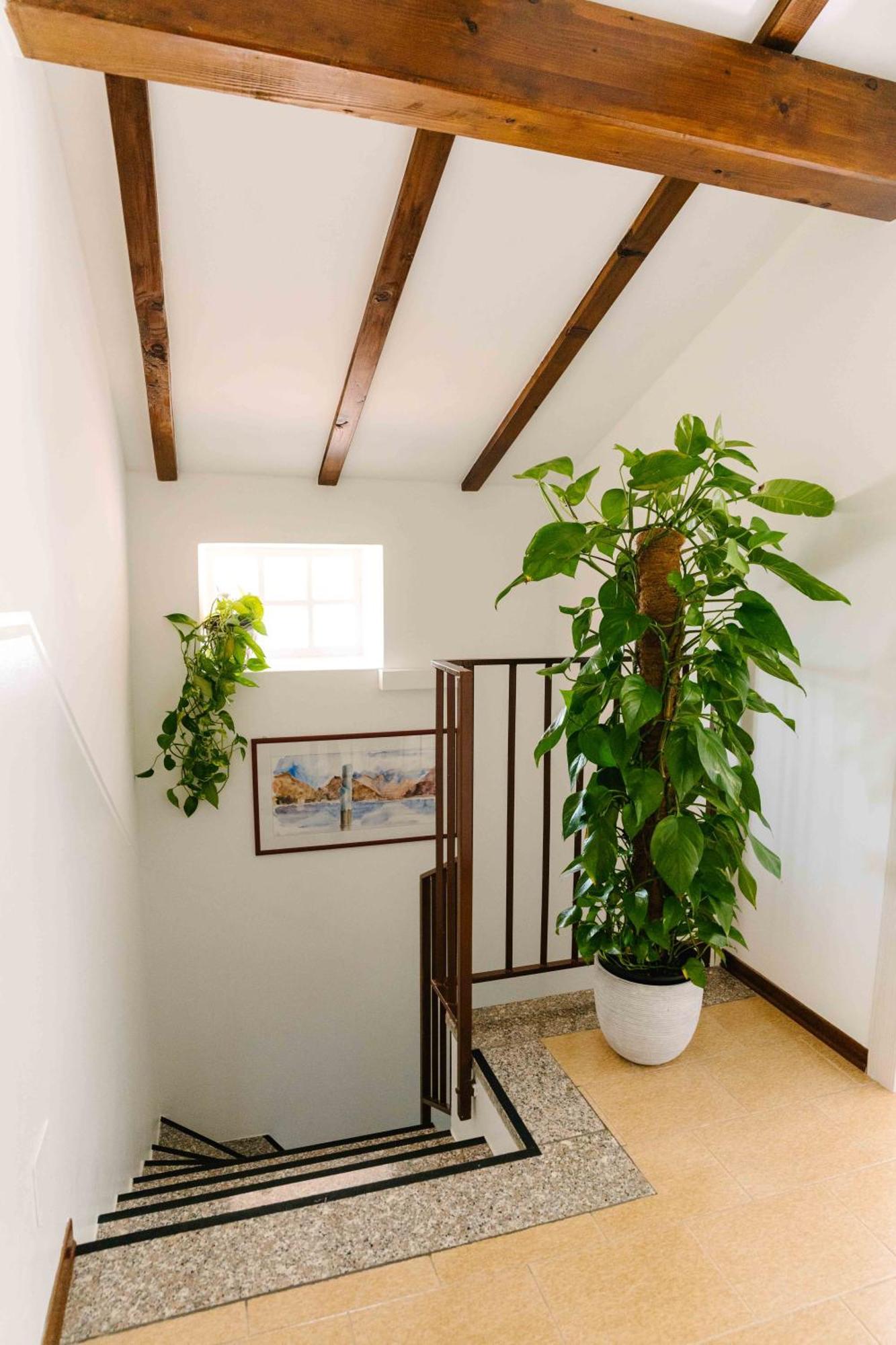 كومو B&B Spina Verde المظهر الخارجي الصورة